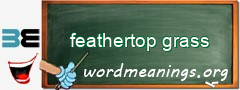 WordMeaning blackboard for feathertop grass
